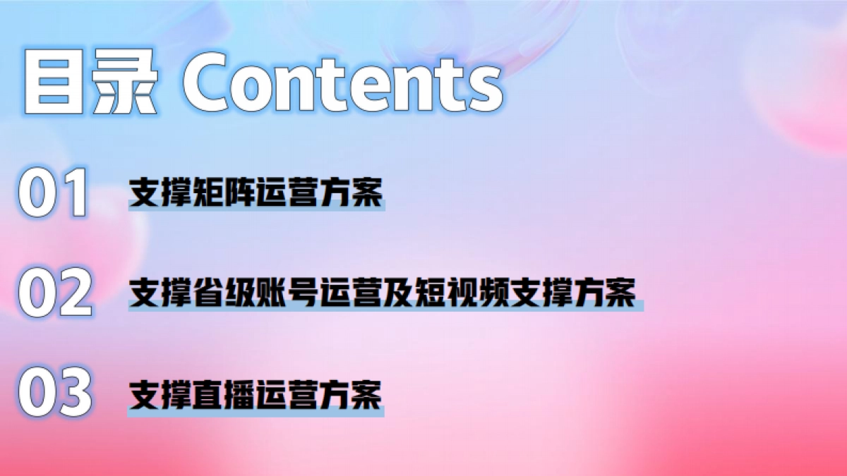 通信集团分公司视频运营支撑项目技术应答方案_第4页
