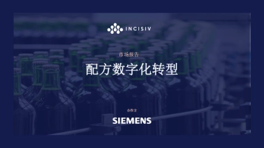 2024快消品行业配方数字化转型市场报告