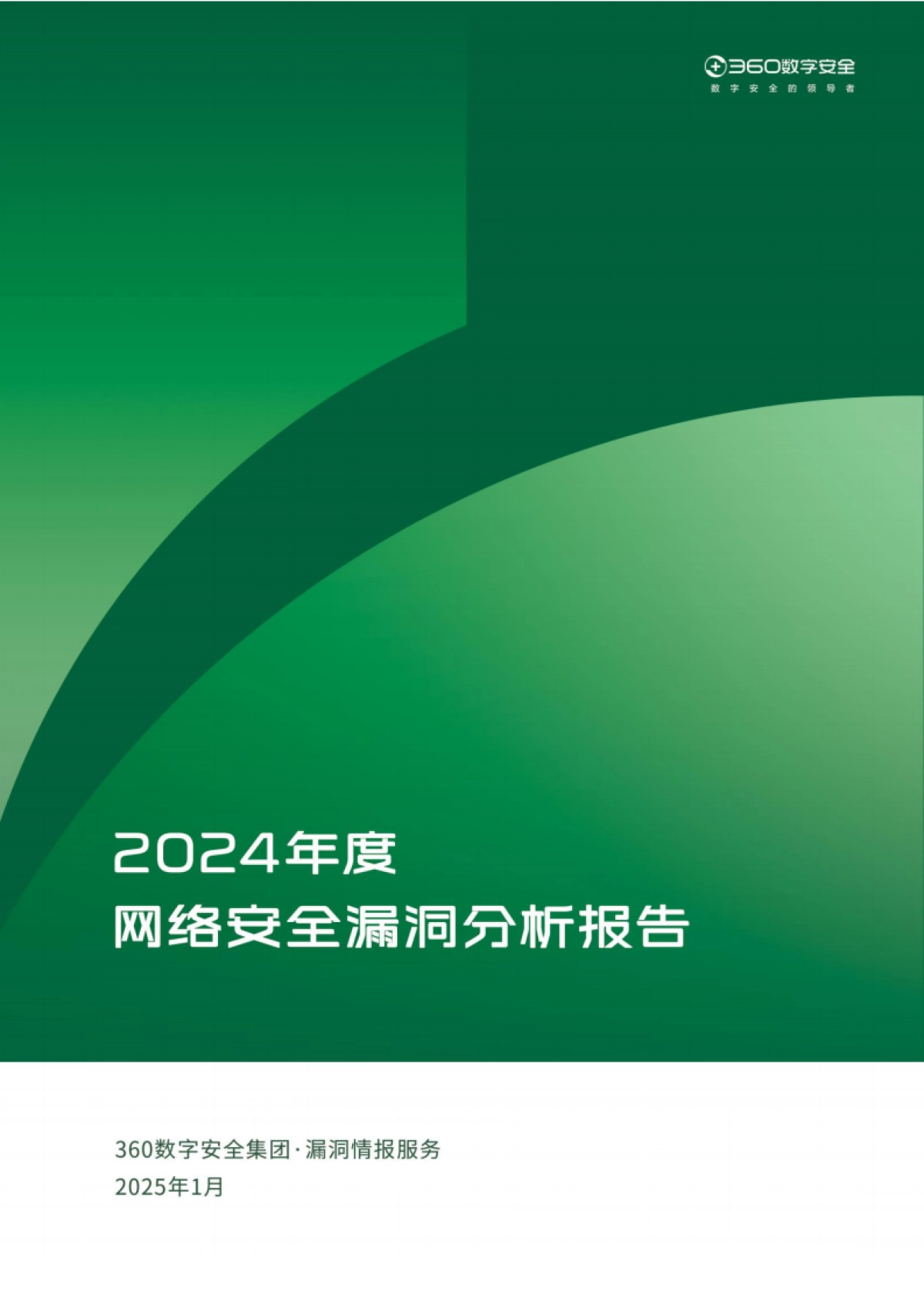 2024年度网络安全漏洞分析报告_第1页