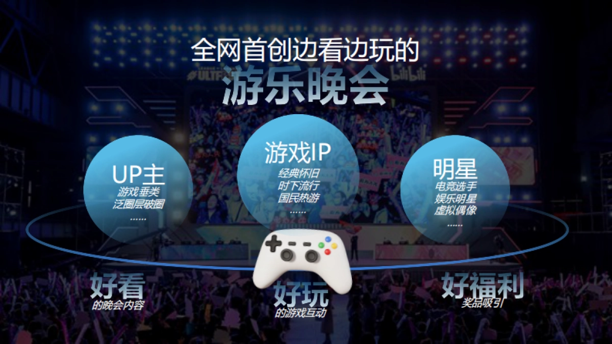 2025bilibili游戏超级晚合作规划_第8页