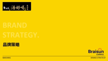 白象汤好喝品牌手册