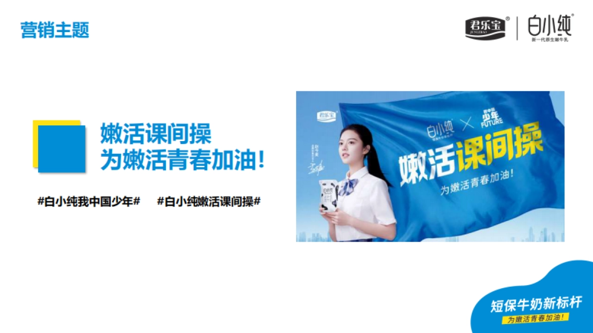 君乐宝白小纯整合营销_第4页