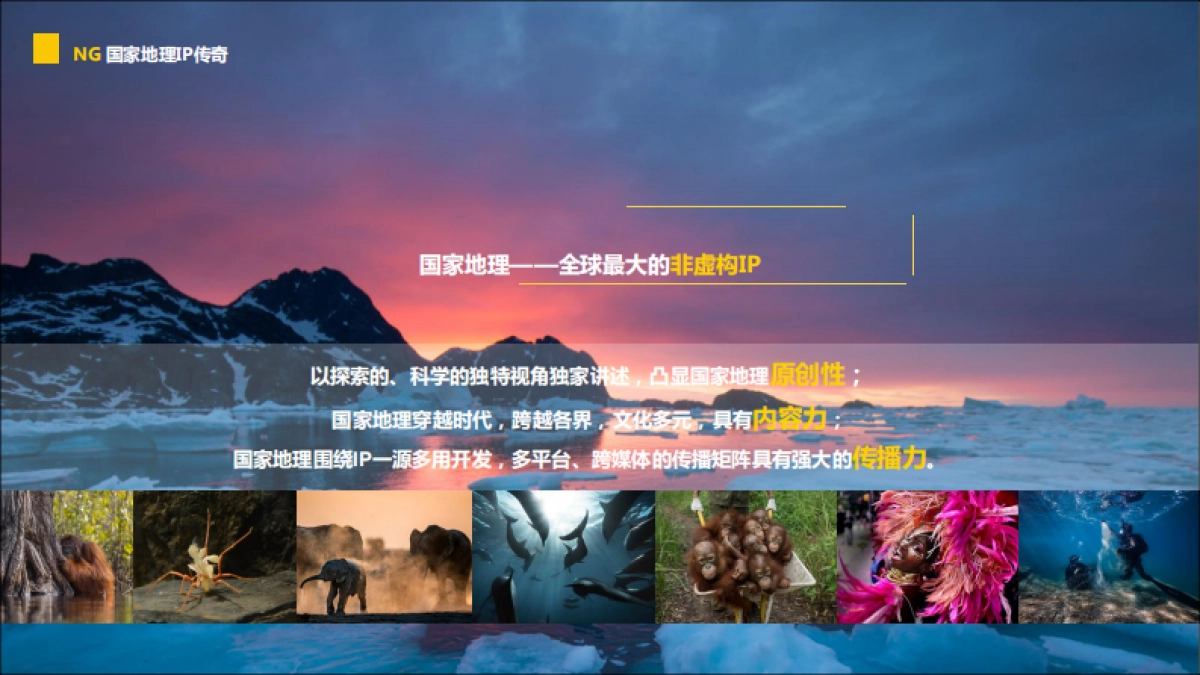 品牌介绍丨国家地理刊例 杂志 摄影_第7页