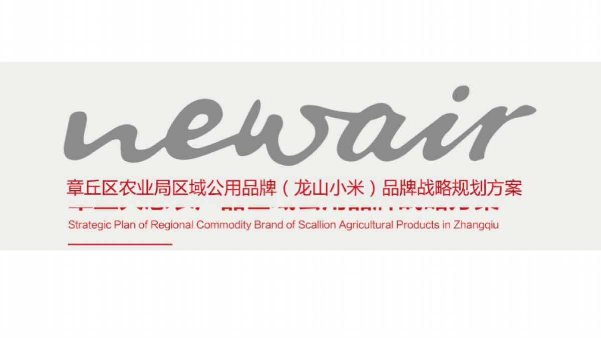 区域公共品牌（龙山小米）品牌战略规划方案_第1页