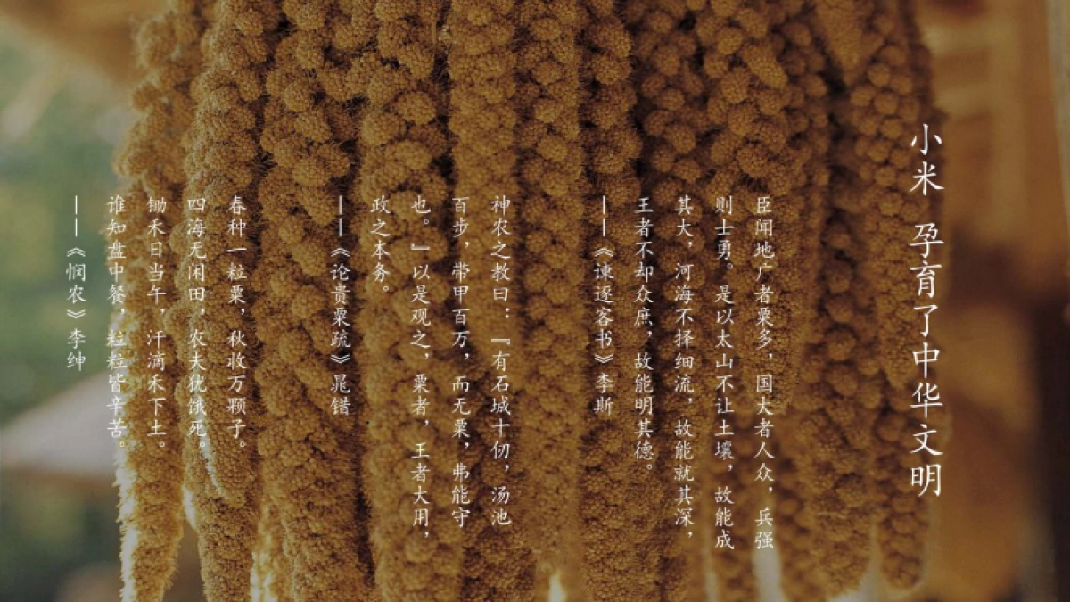 区域公共品牌（龙山小米）品牌战略规划方案_第2页