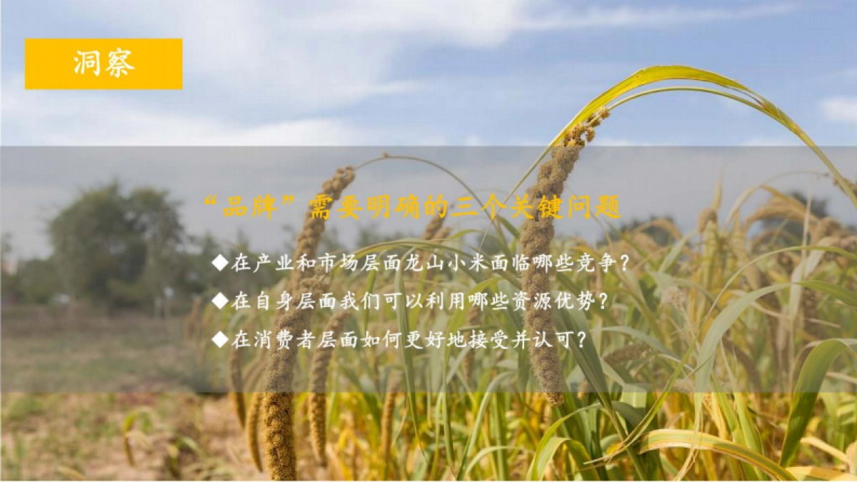 区域公共品牌（龙山小米）品牌战略规划方案_第8页