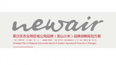 区域公共品牌（龙山小米）品牌战略规划方案
