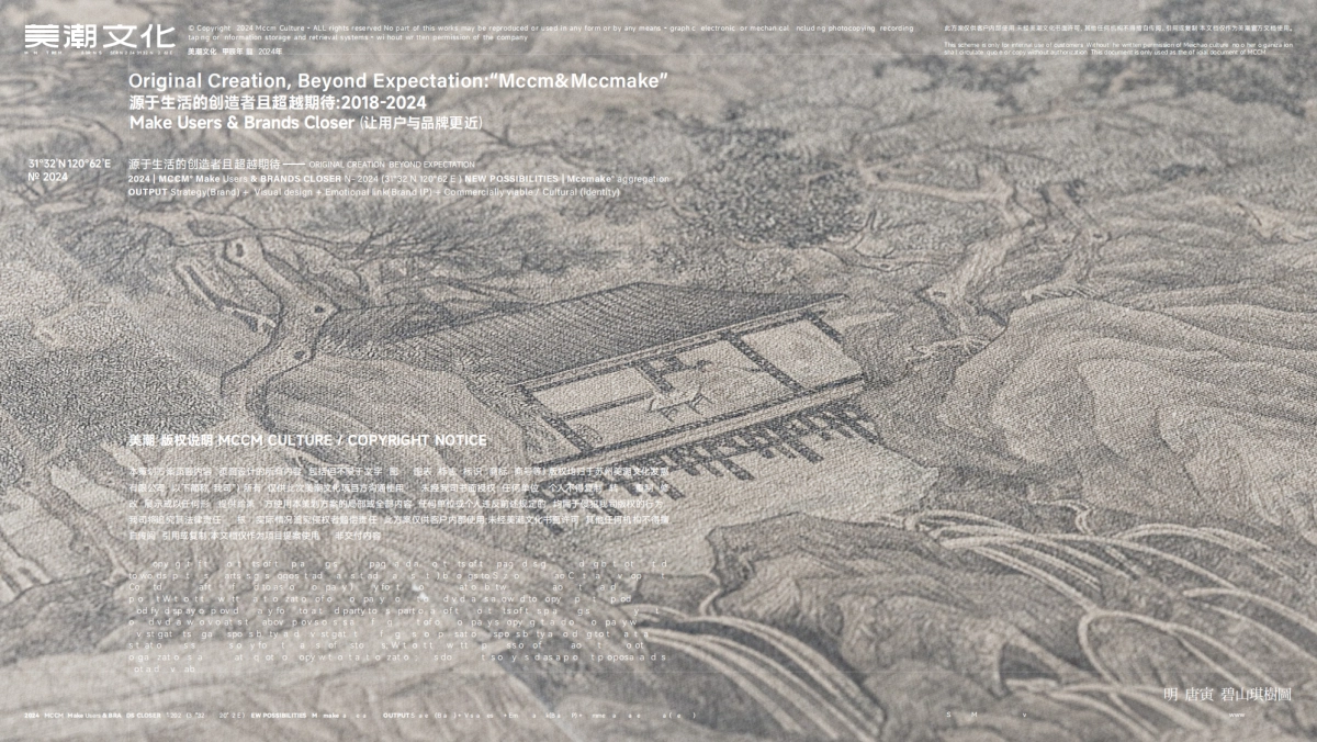 桃花坞_早茶品牌企划_美潮文化_第2页