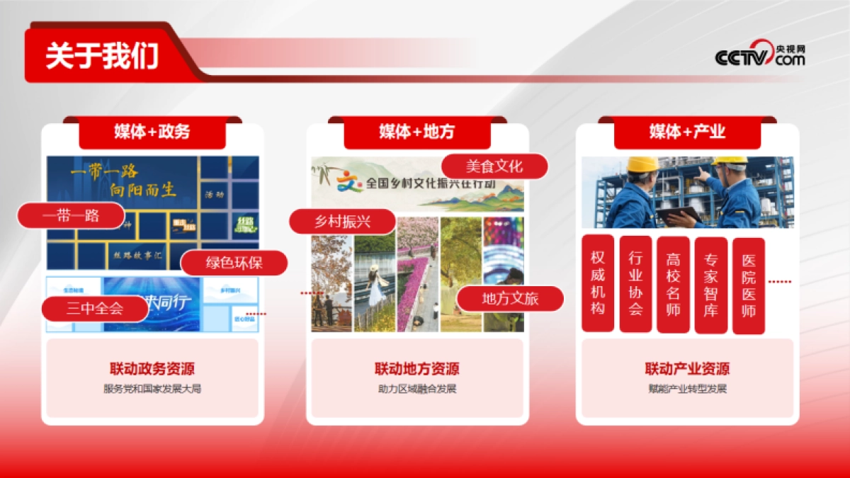 央视网2025年营销手册_第4页