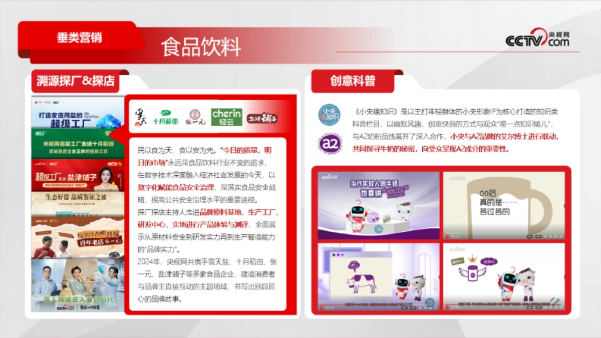 央视网2025年营销手册_第9页