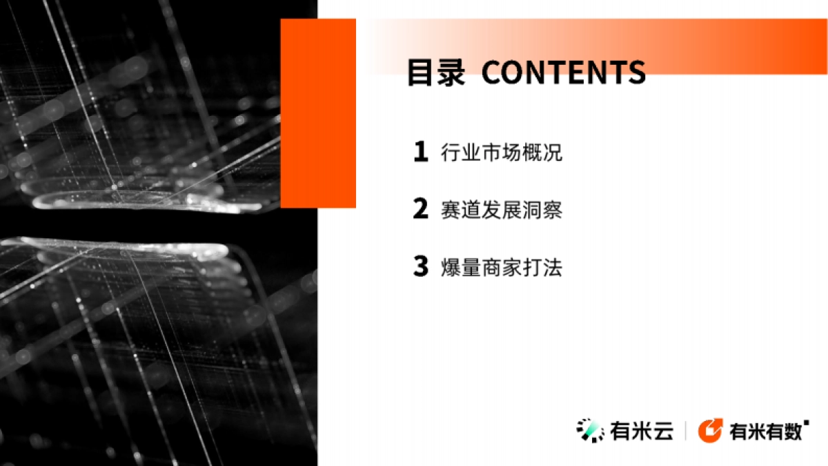 有米云：2024年抖音电商个护美体趋势洞察报告_第3页