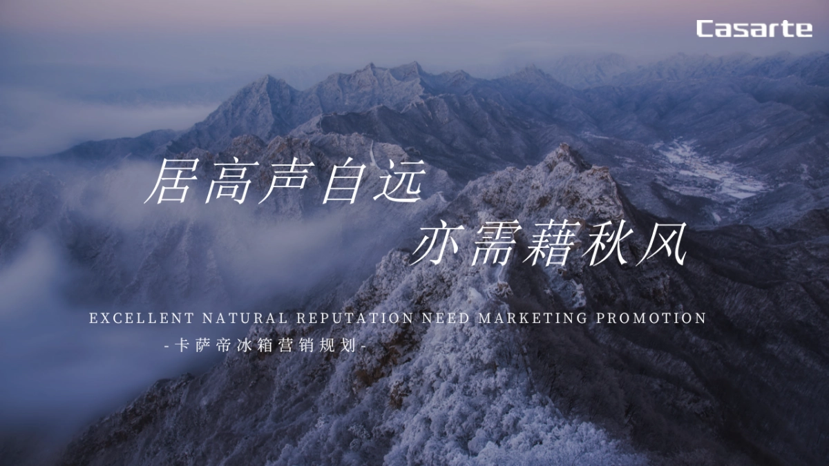 2020卡萨帝冰箱营销规划方案_第1页