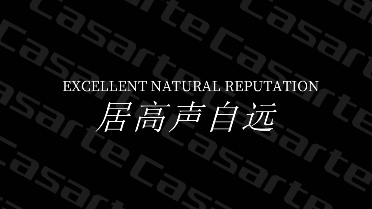 2020卡萨帝冰箱营销规划方案_第2页