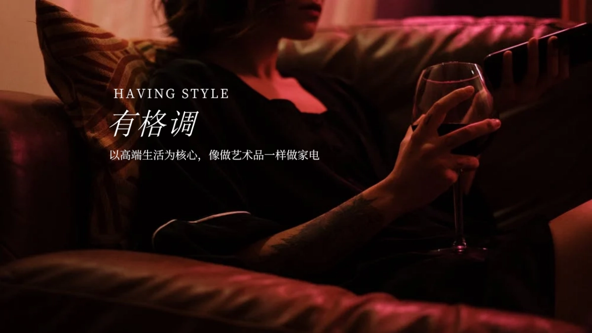 2020卡萨帝冰箱营销规划方案_第5页