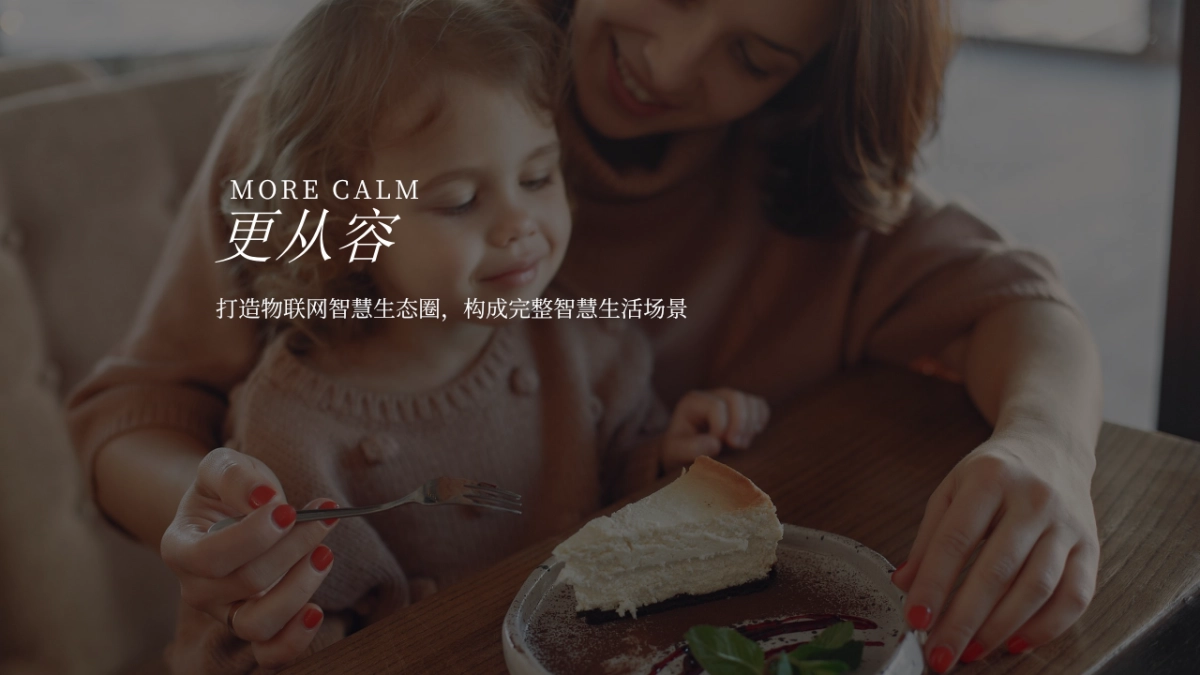 2020卡萨帝冰箱营销规划方案_第6页