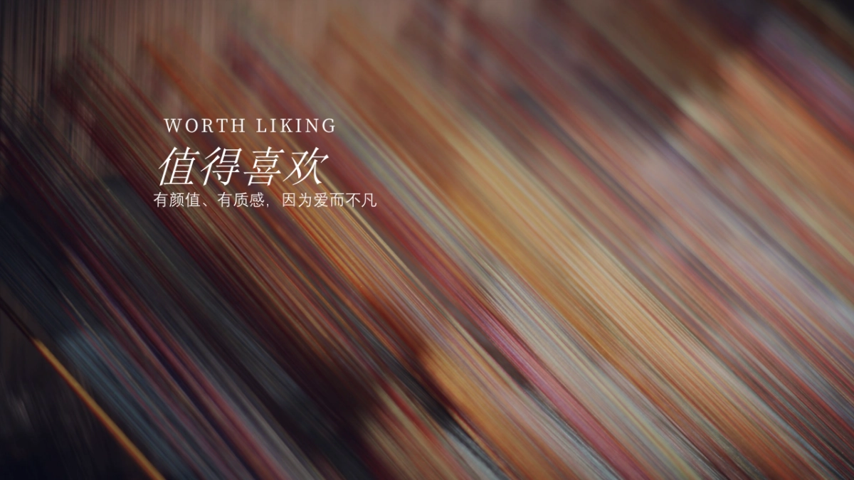 2020卡萨帝冰箱营销规划方案_第9页