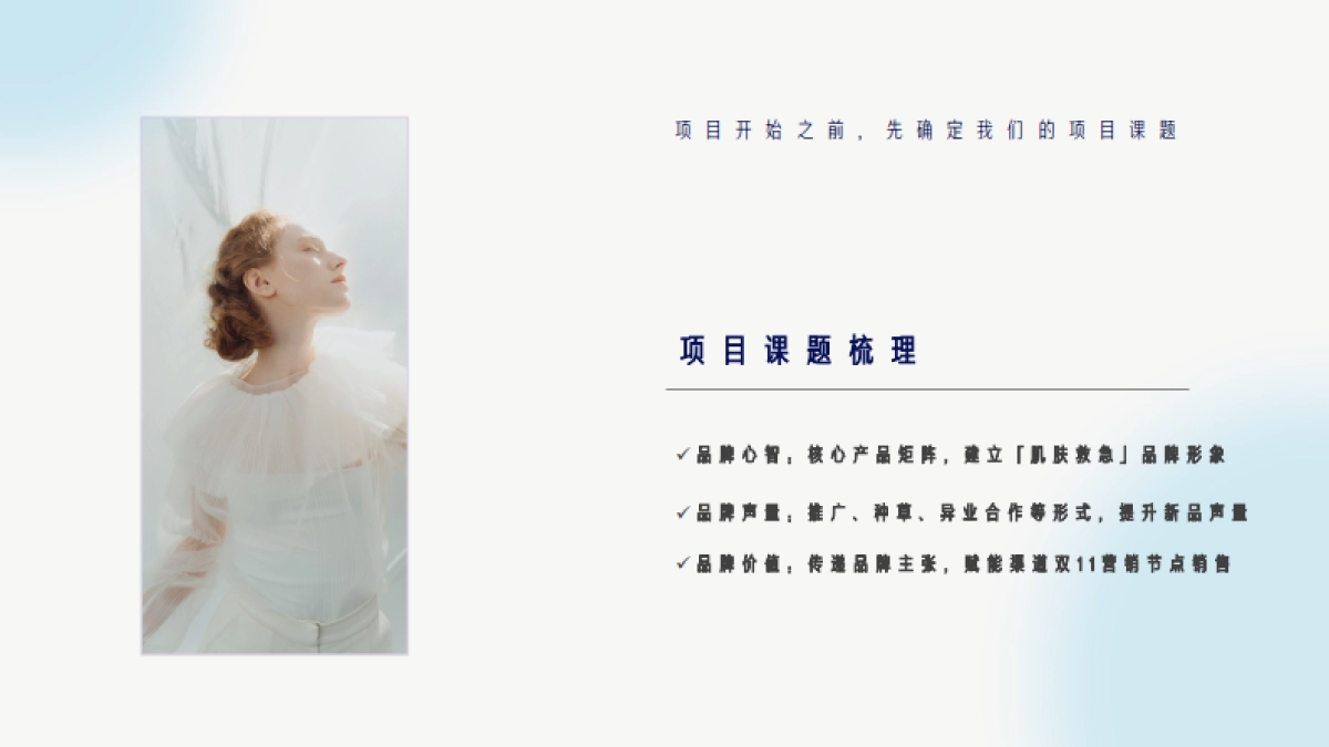 【西柚】绽妍双11营销方案_第3页