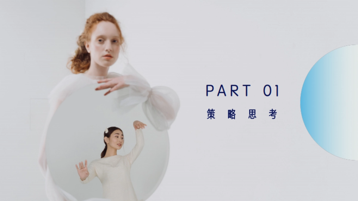 【西柚】绽妍双11营销方案_第4页