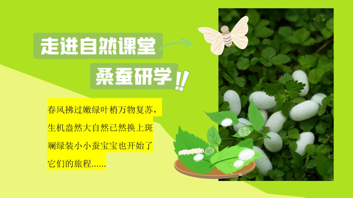 桑蚕研学工作坊「蚕宝探秘 丝路启蒙主题」活动策划方案_第3页