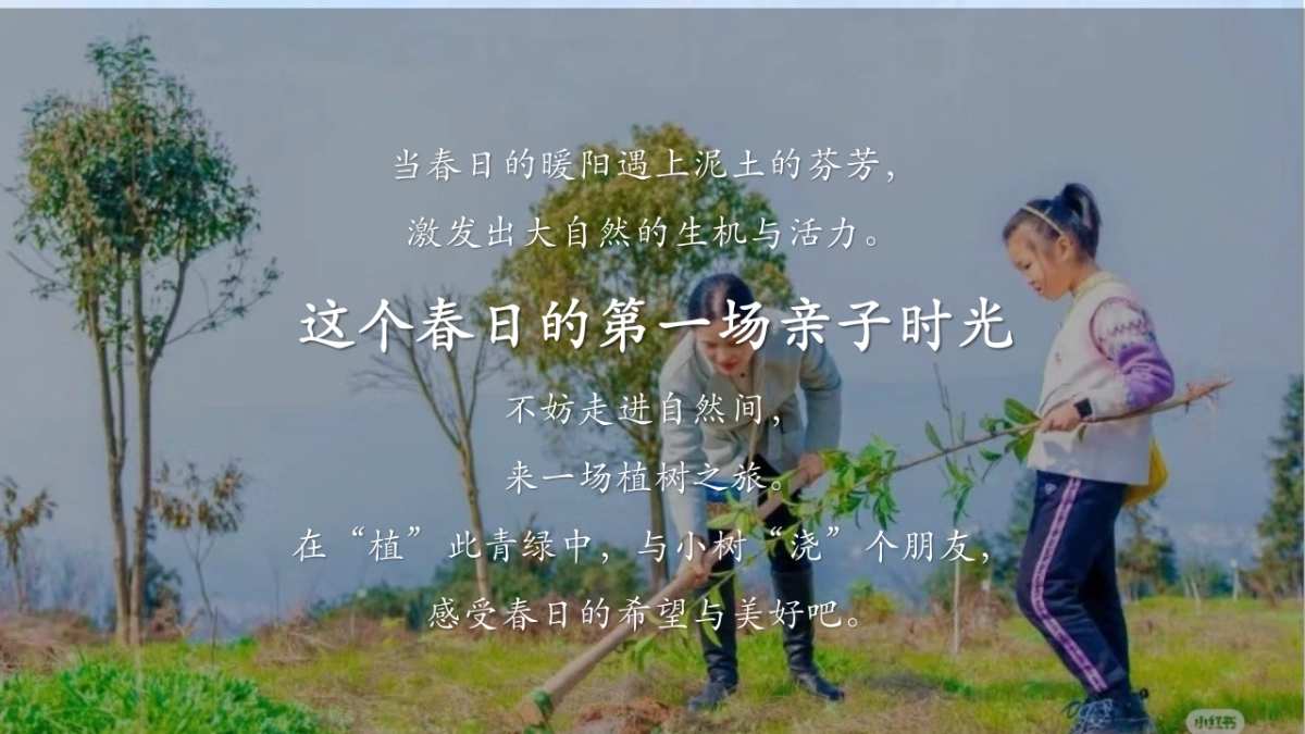 文旅景区营地春季亲子植树与户外体验「植春绿 种希望主题」活动策划案_第5页
