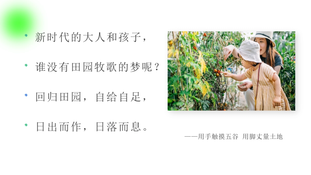 五一劳动节田野研学体验计划「播种春光 亲子共耕主题」活动策划方案_第2页