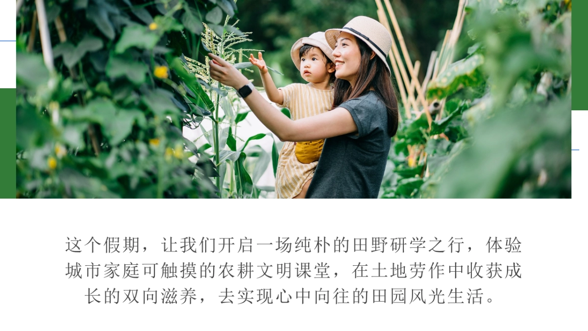 五一劳动节田野研学体验计划「播种春光 亲子共耕主题」活动策划方案_第7页