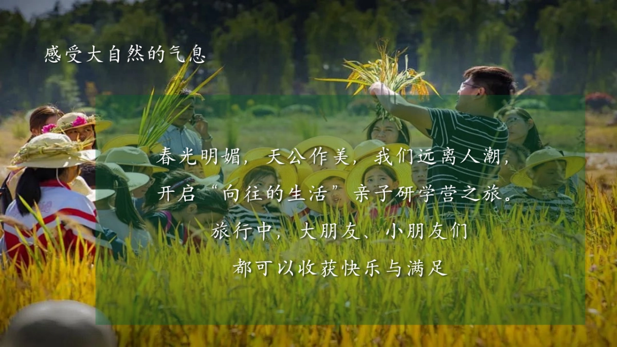 春季农作团建亲子研学体验「向往的生活主题」活动策划方案_第5页