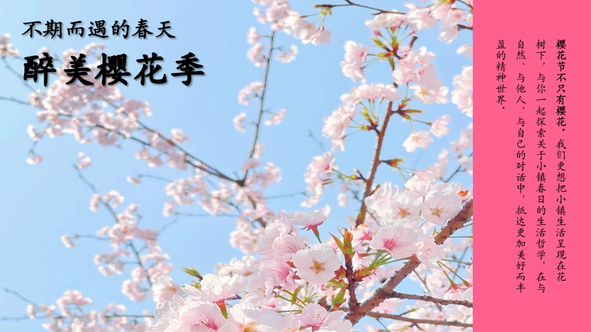 春季樱花节游园会「不期而遇的春天主题」活动策划方案_第5页