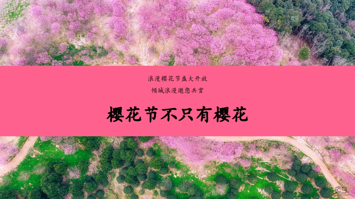 春季樱花节游园会「不期而遇的春天主题」活动策划方案_第7页