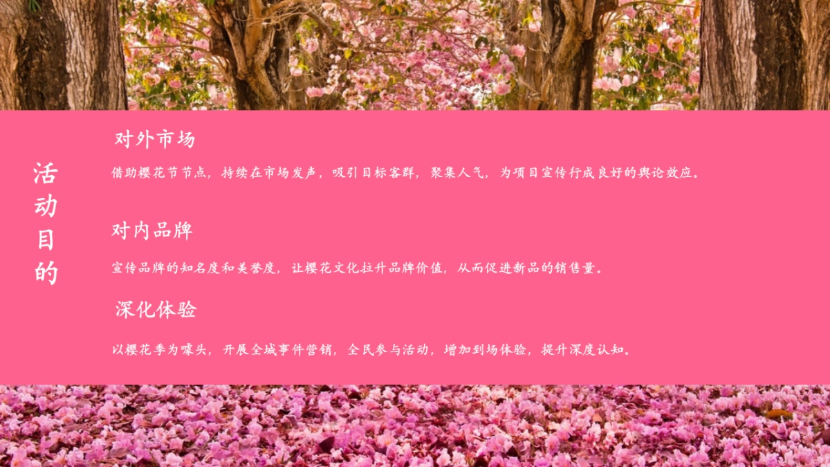 春季樱花节游园会「不期而遇的春天主题」活动策划方案_第9页