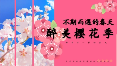 春季樱花节游园会「不期而遇的春天主题」活动策划方案