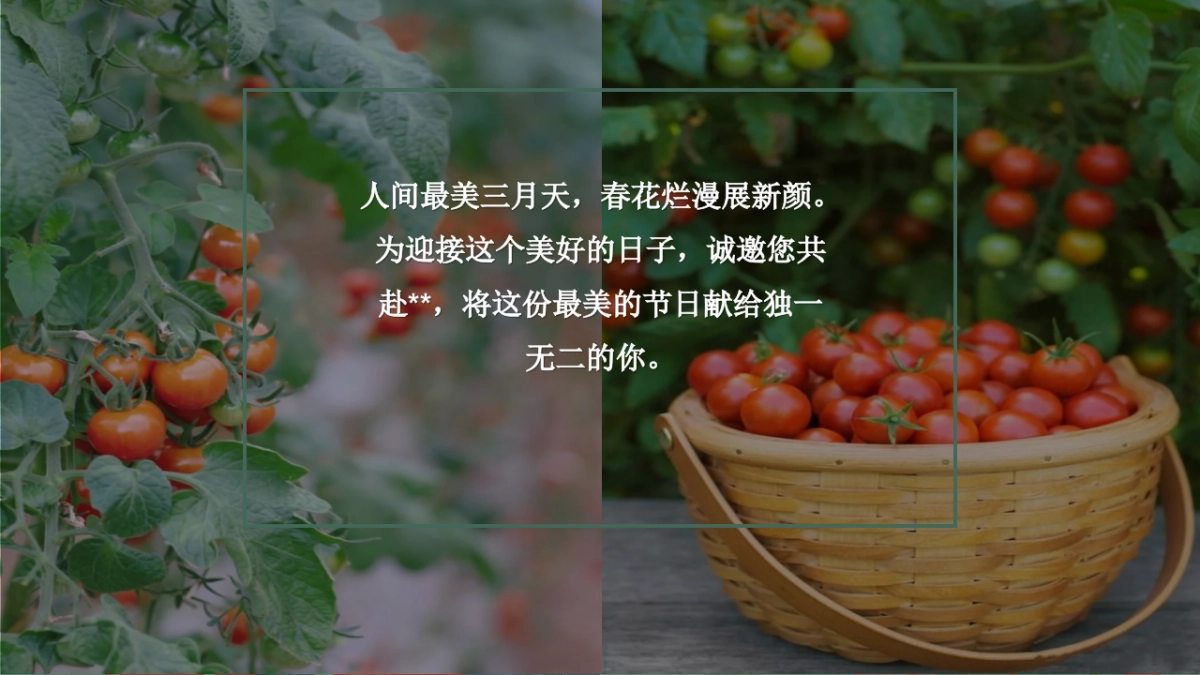 春日番茄研学团建「春光研学 番甜喜柿主题」活动策划方案_第3页