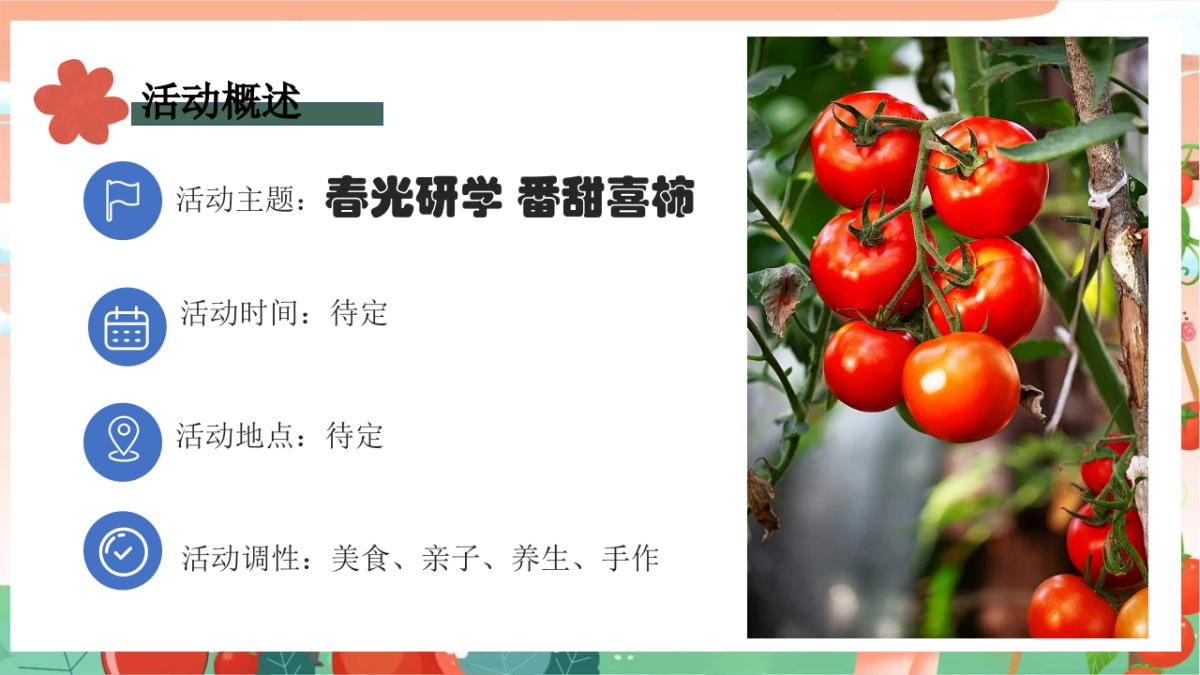 春日番茄研学团建「春光研学 番甜喜柿主题」活动策划方案_第7页