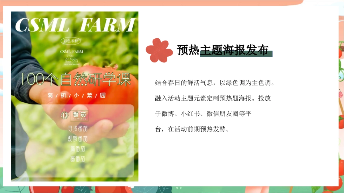 春日番茄研学团建「春光研学 番甜喜柿主题」活动策划方案_第9页