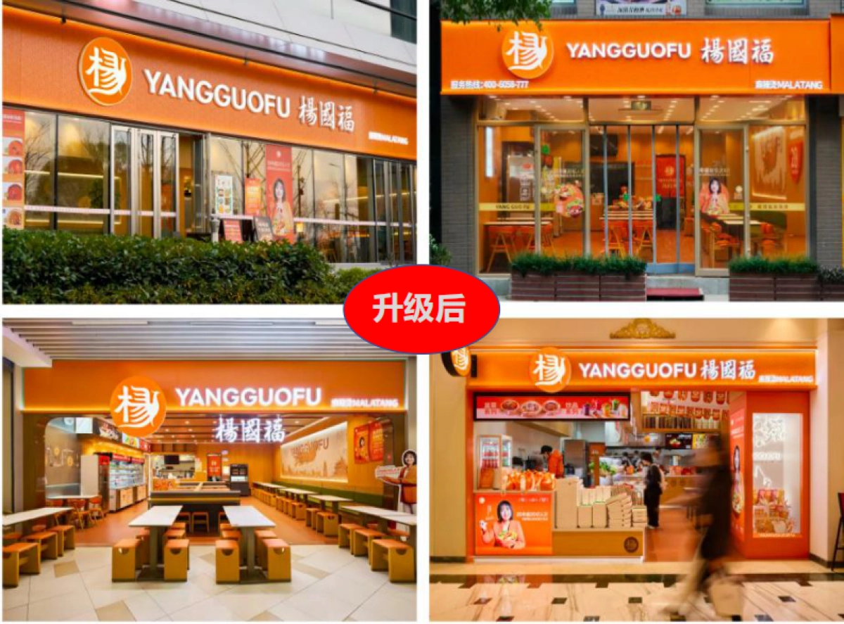 杨国福麻辣烫小吃餐饮品牌战略升级全案_第3页