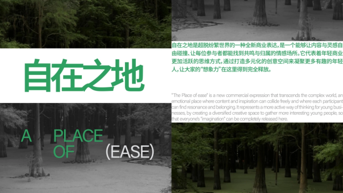 合物660商业街区招商手册_第3页