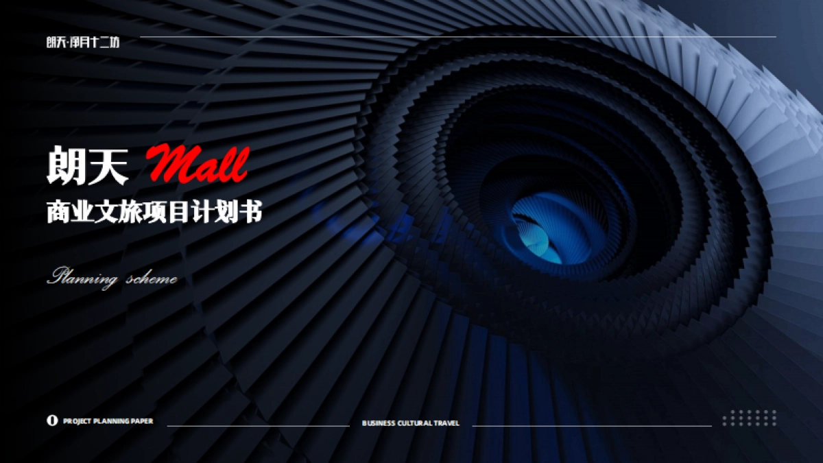 朗天Mall特色非标商业文旅综合体项目定位规划打造计划书_第1页