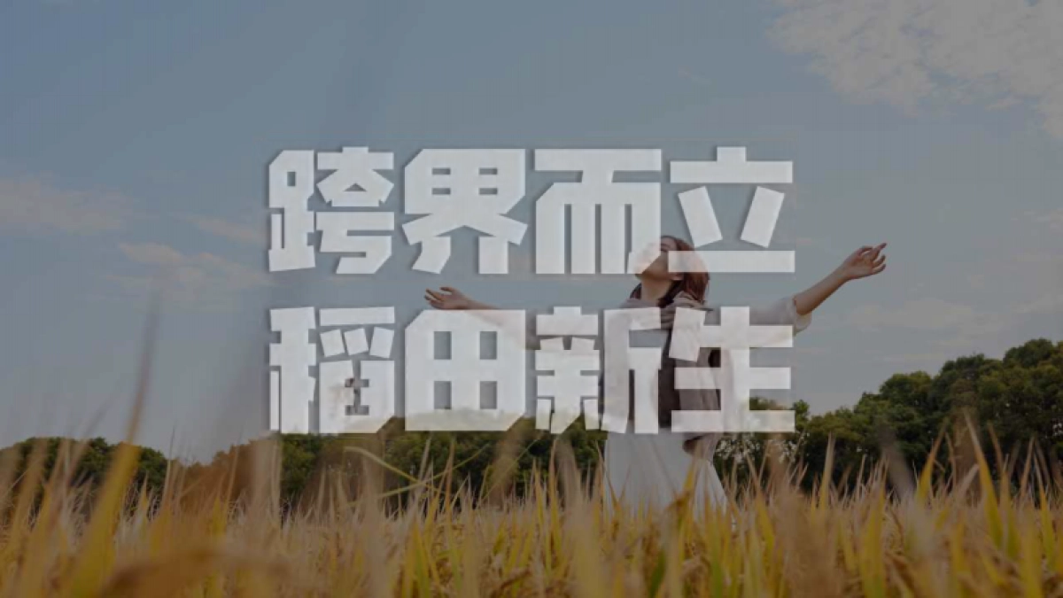 南京稻梦工场农文旅融合项目稻田主题策划规划方案_第10页