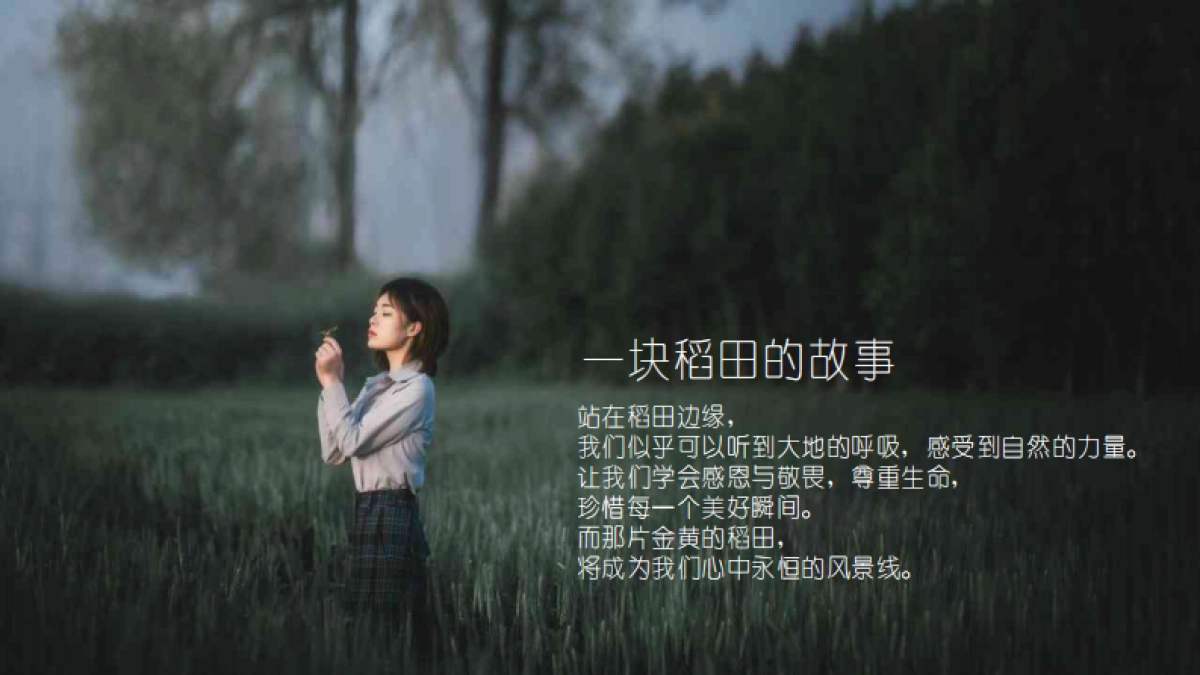 南京稻梦工场农文旅融合项目稻田主题策划规划方案_第2页