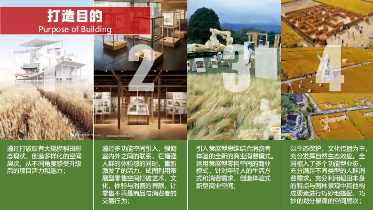 南京稻梦工场农文旅融合项目稻田主题策划规划方案_第7页