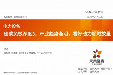 【天风证券】硅碳负极深度3：产业趋势渐明，看好动力领域放量