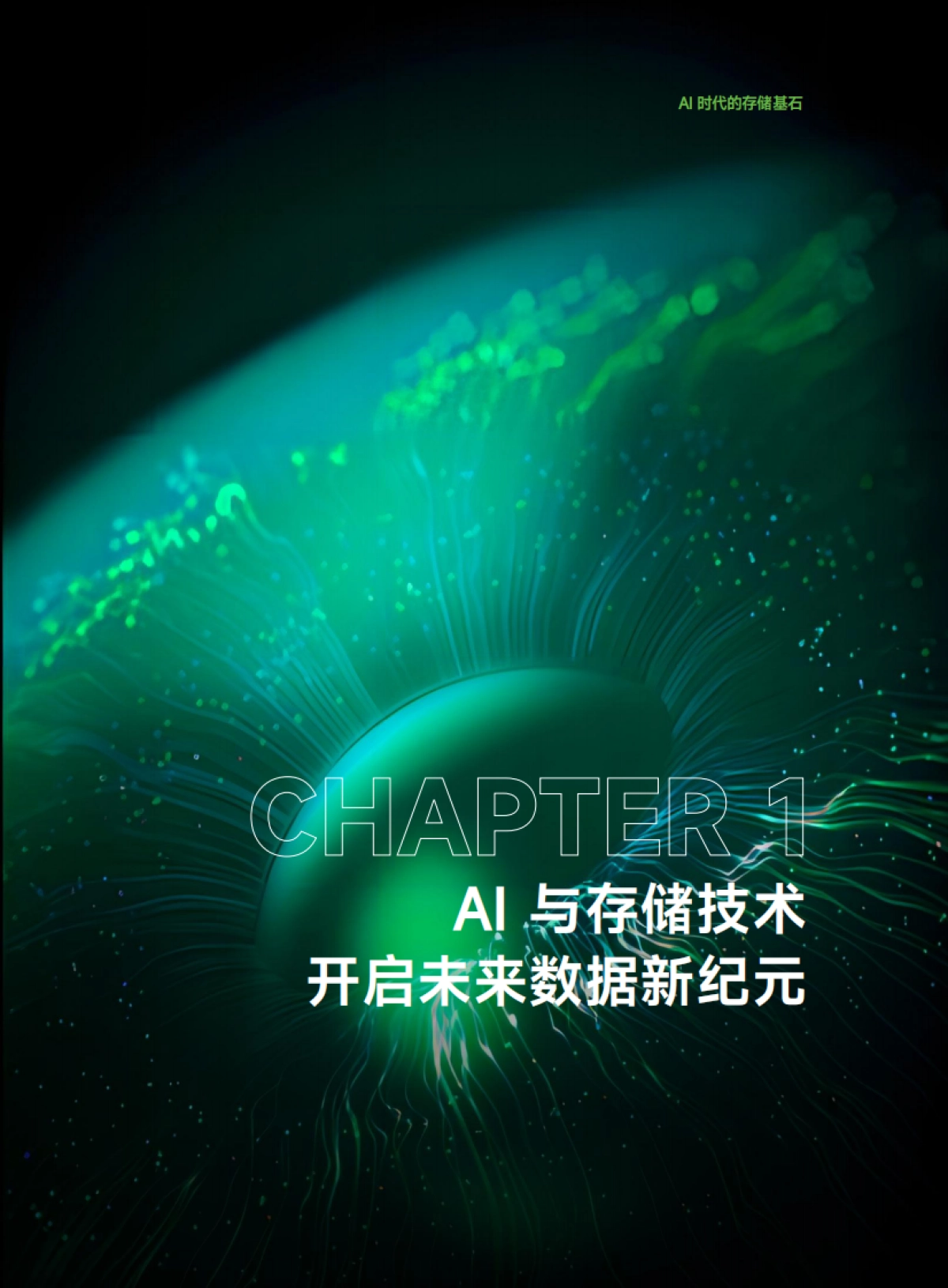 2025AI时代的存储基石-益企研究院_第9页