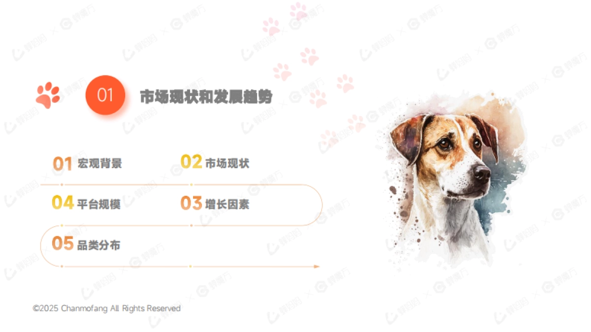 2025年宠物保健品抖音电商行业分析报告-蝉妈妈&蝉魔方_第5页