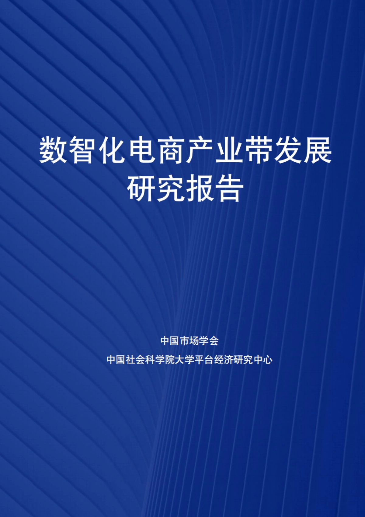 2025年数智化电商产业带发展研究报告-中国社会科学院_第1页