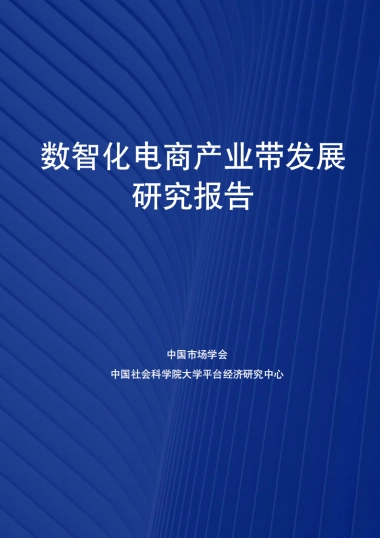 2025年数智化电商产业带发展研究报告-中国社会科学院