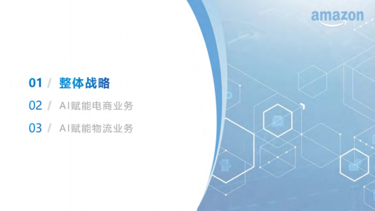 2025年亚马逊电商业务战略研究报告_第5页