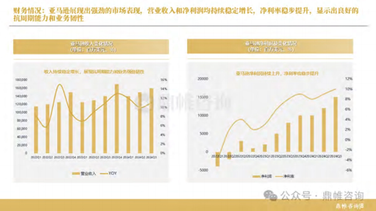 2025年亚马逊电商业务战略研究报告_第9页