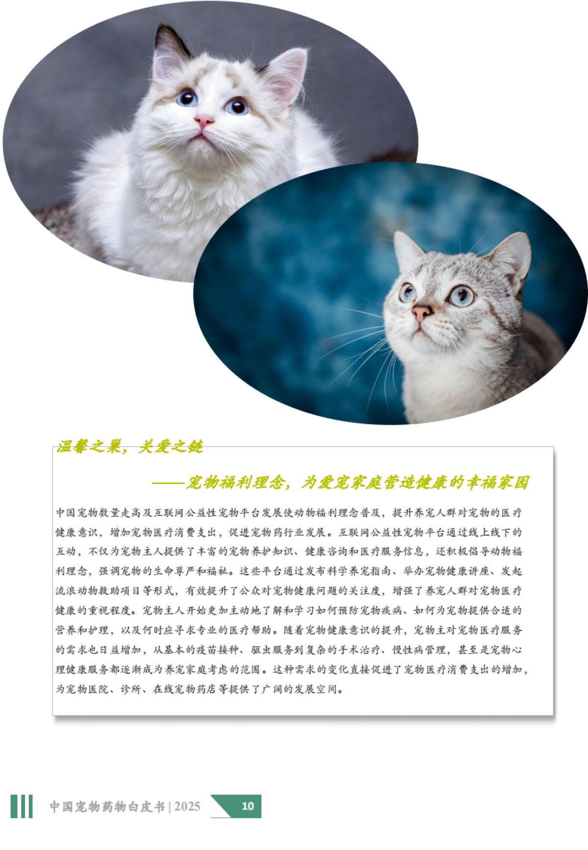 2025年中国宠物药物白皮书-沙利文_第10页