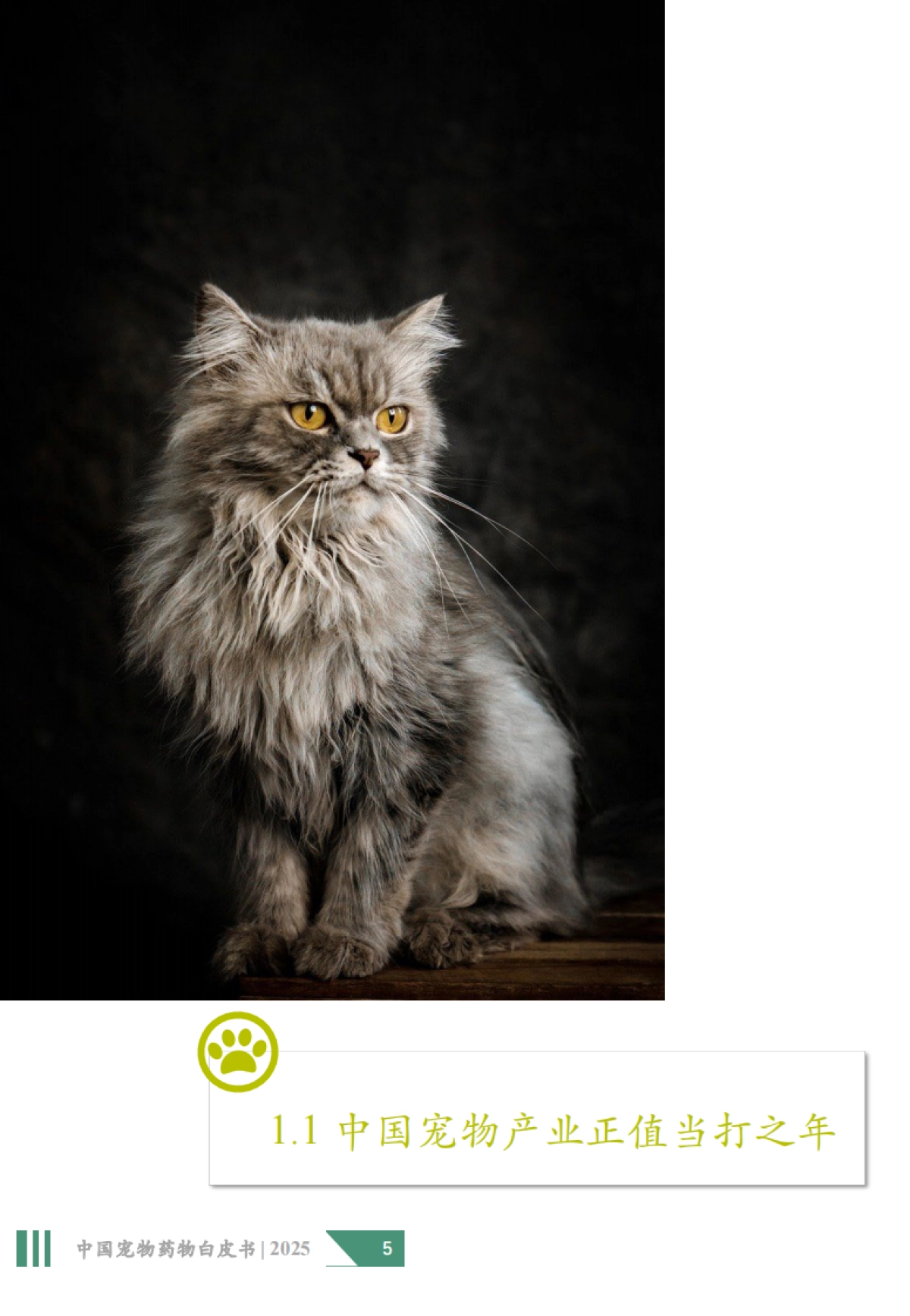 2025年中国宠物药物白皮书-沙利文_第5页