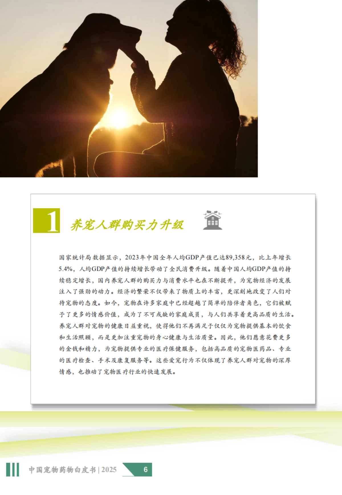 2025年中国宠物药物白皮书-沙利文_第6页